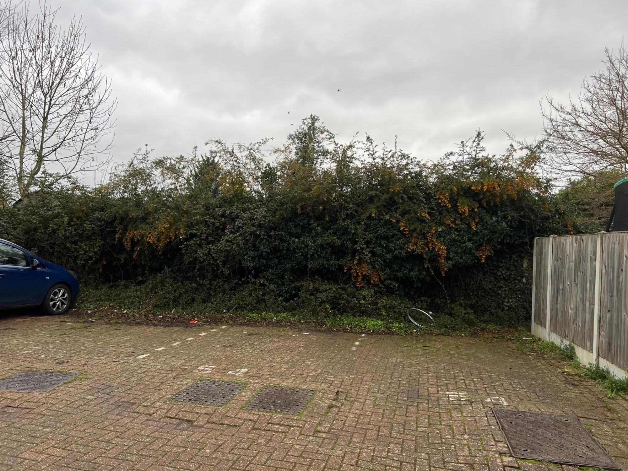 Broadway Retreat With Free Parking Lejlighed Herne Bay Eksteriør billede